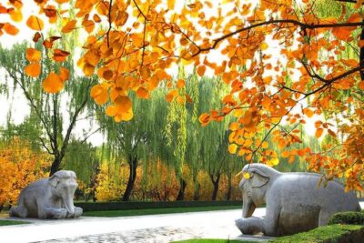 Private Beijing Day Trip: Mutianyu Great Wall and Ming Tombs - Why Mutianyu Works Better Than Badaling for a Calm Great Wall Day
