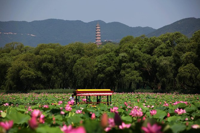 Private Day Tour: Summer Palace and Old Summer Palace in Beijing - The Long Corridor: where garden design becomes a walkable art gallery