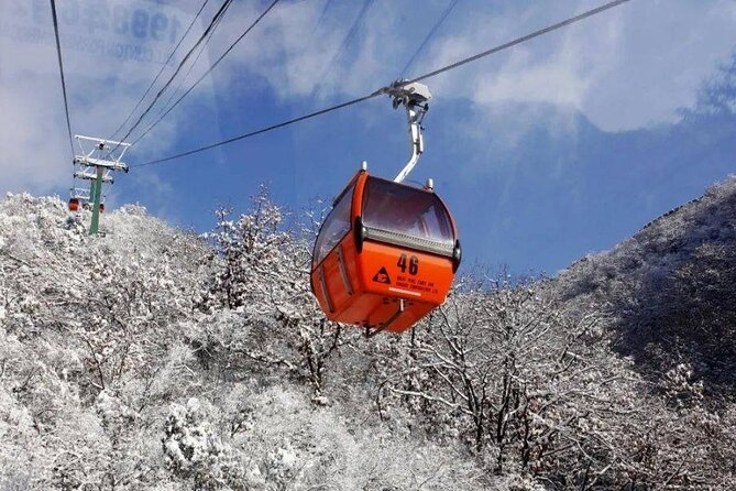 Private Day Tour to Beijing Mutianyu Great Wall - Comfort Tips: Shoes, Pace, and Choosing Your Ride