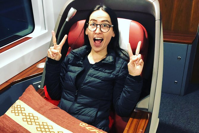 Private Day Trip to Terracotta Army from Beijing by Bullet Train - Price and what you actually get for $299