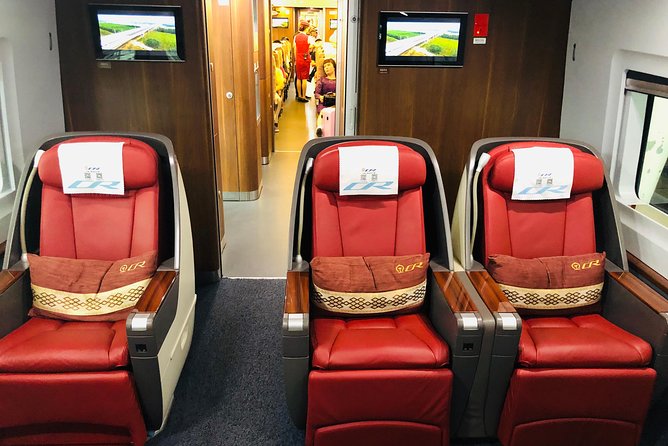 Private Day Trip to Terracotta Army from Beijing by Bullet Train - Who this private day trip suits best