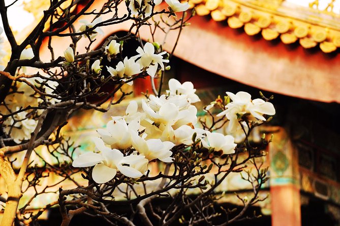 Private Flexible Beijing City In-Depth Walking Tour w/ Your Fancy - Tiananmen Square: a strong start, with zero admission drama