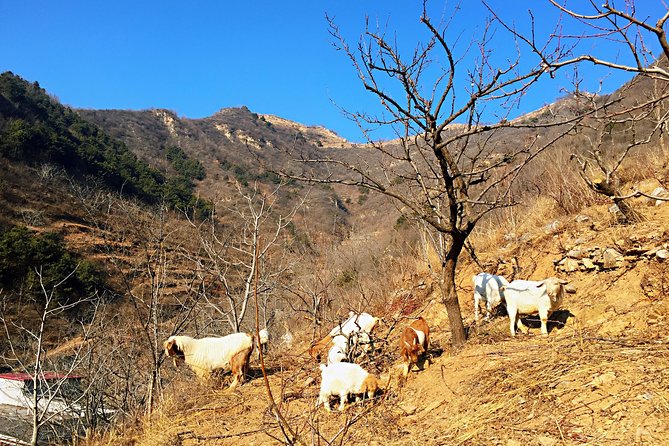Private Great Wall Hiking Tour: Across The Border of 3 China Provinces - Lunch in a Tiny Mountain Village: More Than a Rest Stop