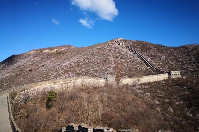 Private Layover Tour to Mutianyu Great Wall and Forbidden City - Who this tour suits best