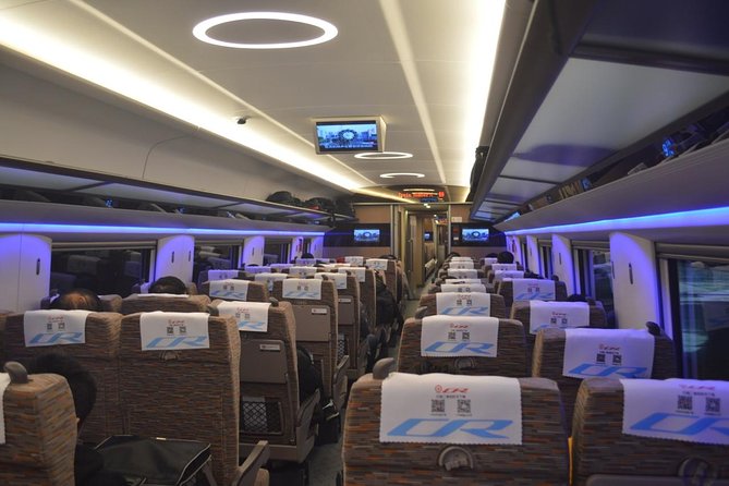 Private Tianjin Port Departure Transfer from Beijing by Bullet Train Experience - What the “private” part means for your day