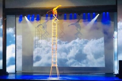 Red Theatre Beijing Acrobatics Show Ticket - Tickets and QR codes: avoid the biggest stress point
