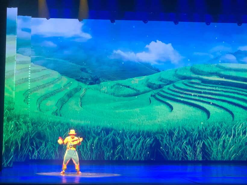 Red Theatre Beijing Acrobatics Show Ticket - When things get tricky: language and the ticket rules