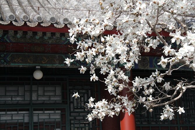 Summer Palace Ticket with optional Guided Tour - Summer Palace highlights in about two hours