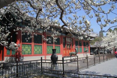 Summer Palace Ticket with optional Guided Tour - Meeting point and practical logistics (the stuff that can trip you up)