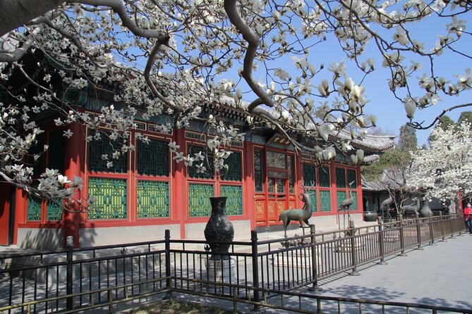Summer Palace Ticket with optional Guided Tour - Meeting point and practical logistics (the stuff that can trip you up)