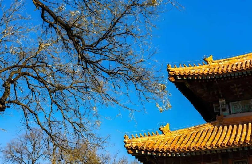 Tickets to all Beijing attractions (Forbidden City optional) - Key points before you go