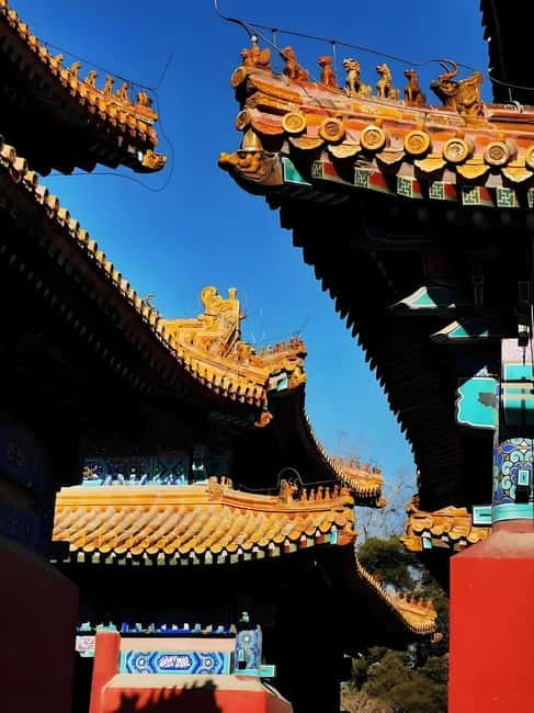 Tickets to all Beijing attractions (Forbidden City optional) - Guide quality: what English support can look like (and why Mina matters)