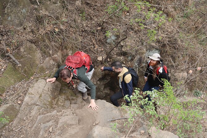 Wild Great Wall Hikes - Wild Wall Hikes: what this day feels like (and why it’s different)